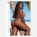 Kalendář Pin-up Calendar Hot Ass 2027