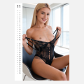 Kalendář Pin-up Calendar Sexy Girls 2027