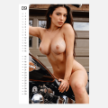 Kalendář Pin-up Calendar Sexy Girls 2027