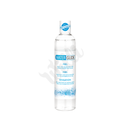 WATERGLIDE 300 ML FEEL