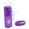Vibrační fialové vajíčko - Biggi