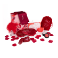 Set DREAM TOYS AMOUR The Secrets Of Love Panty Play Kit