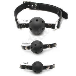 Ball Gag Training System